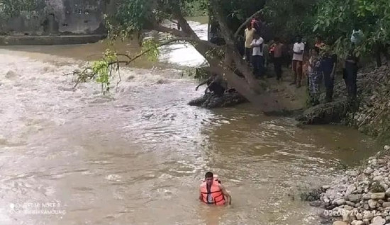 बाढीले बगायो सीमास्तम्भ